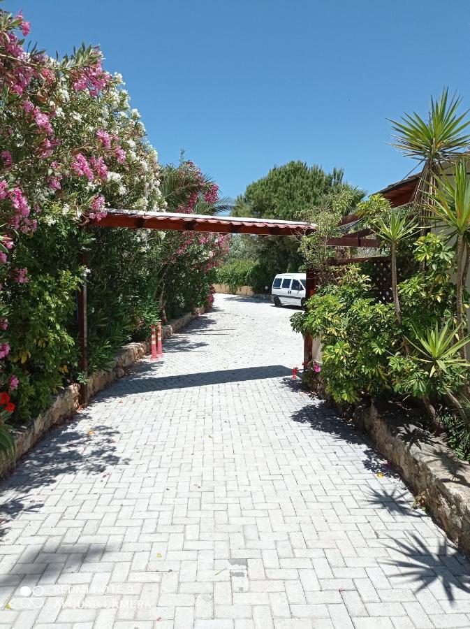 Aparthotel Alexandros Kalamaki
